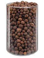 All Spice/ Pimento
