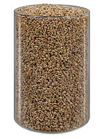 Ajwain Seeds