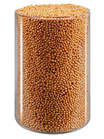 Mustard (Yellow)