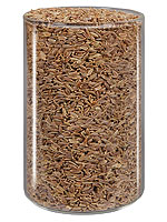 Dill Seeds