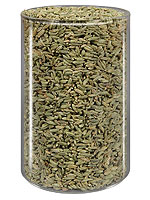 Fennel Seeds