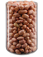 Groundnut kernels (Java)