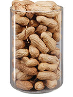 Groundnut in shell
